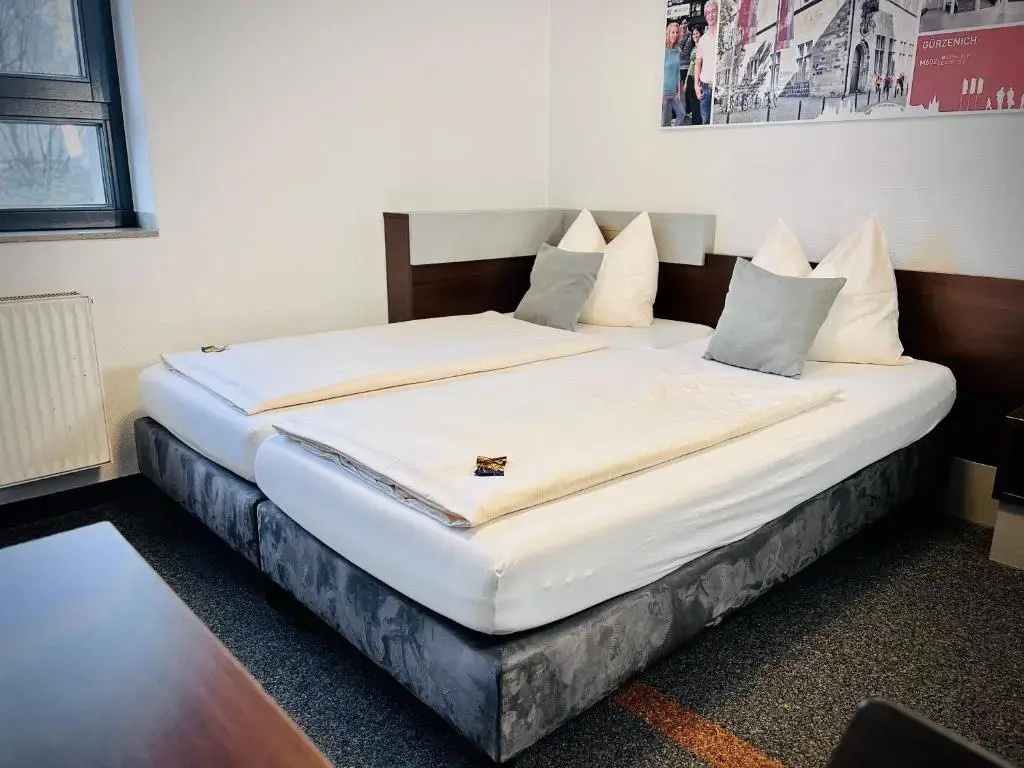 Standard Double room (twin beds)