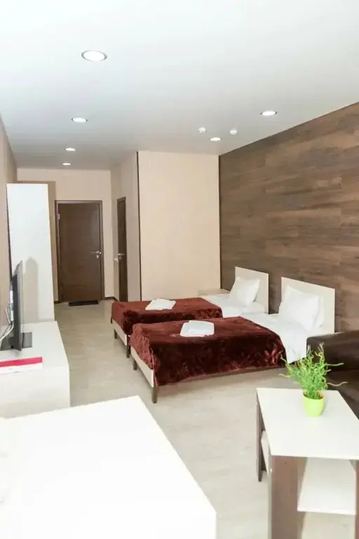 Comfort Plus Double room (twin beds)