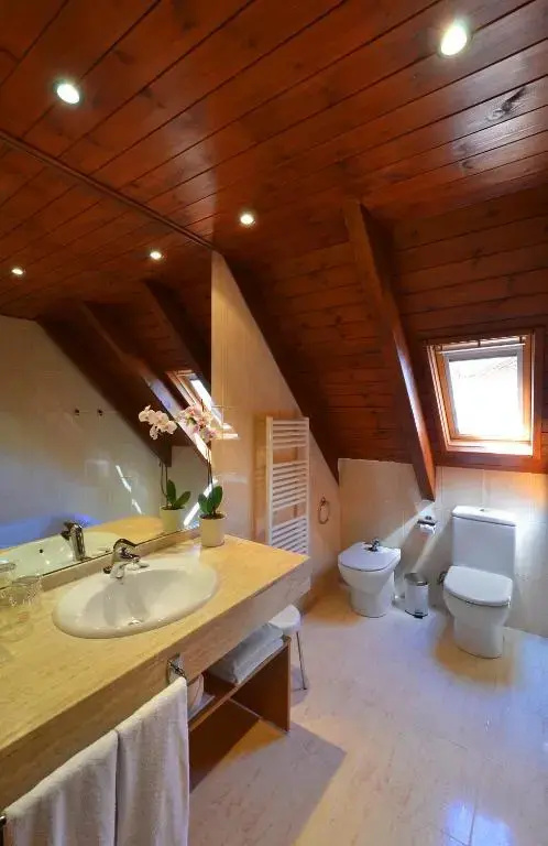 Hotel Acevi Val d'Aran - Général