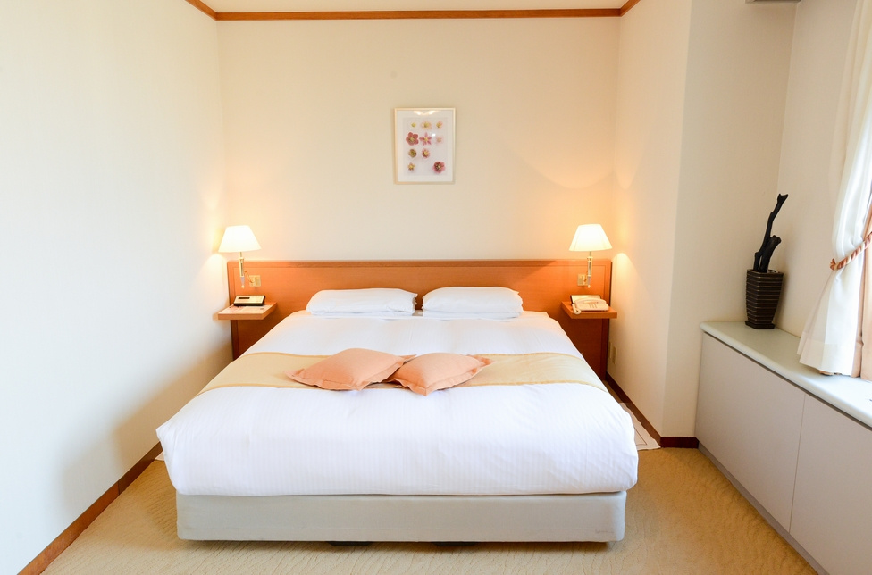 Deluxe (Executive floor) room