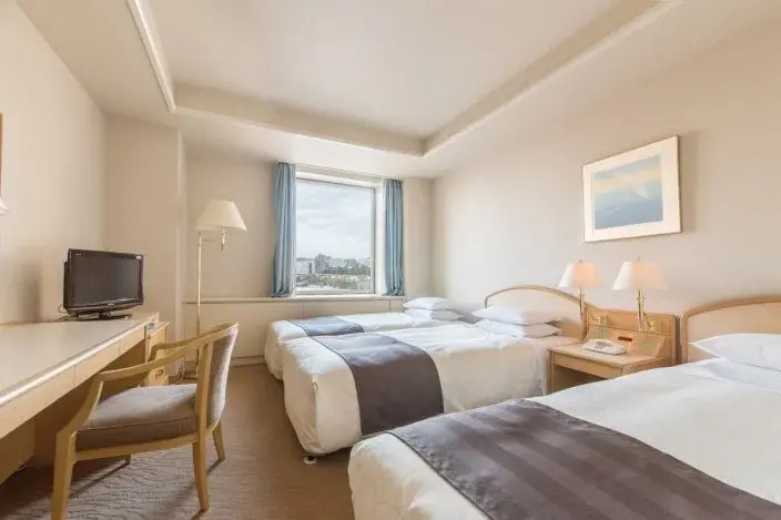Standard Triple room with park view