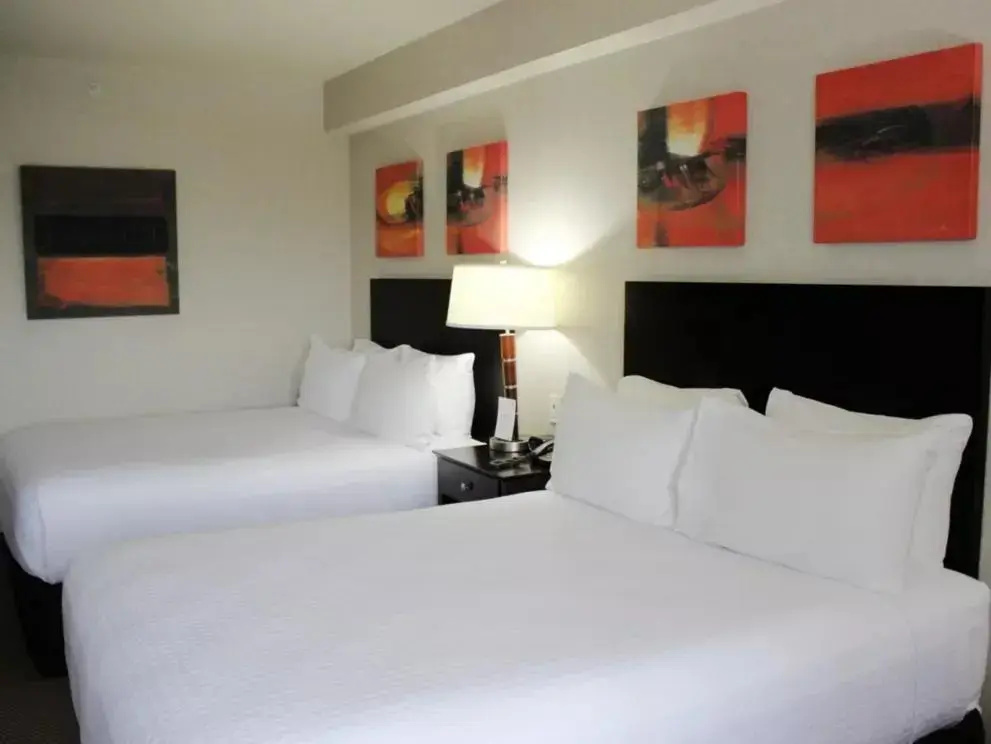 Crowne Plaza Leon by IHG - Chambres