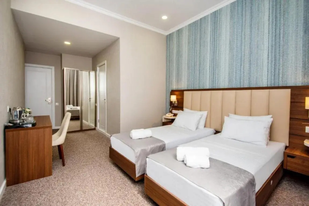 Standard Double room (twin beds)