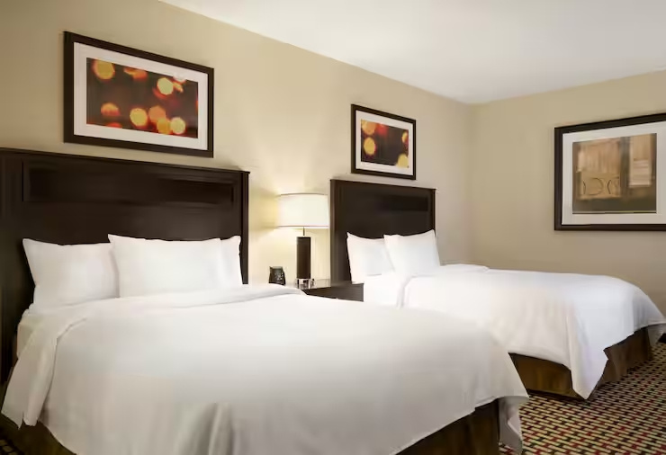 Embassy Suites by Hilton Jackson North Ridgeland - Chambres