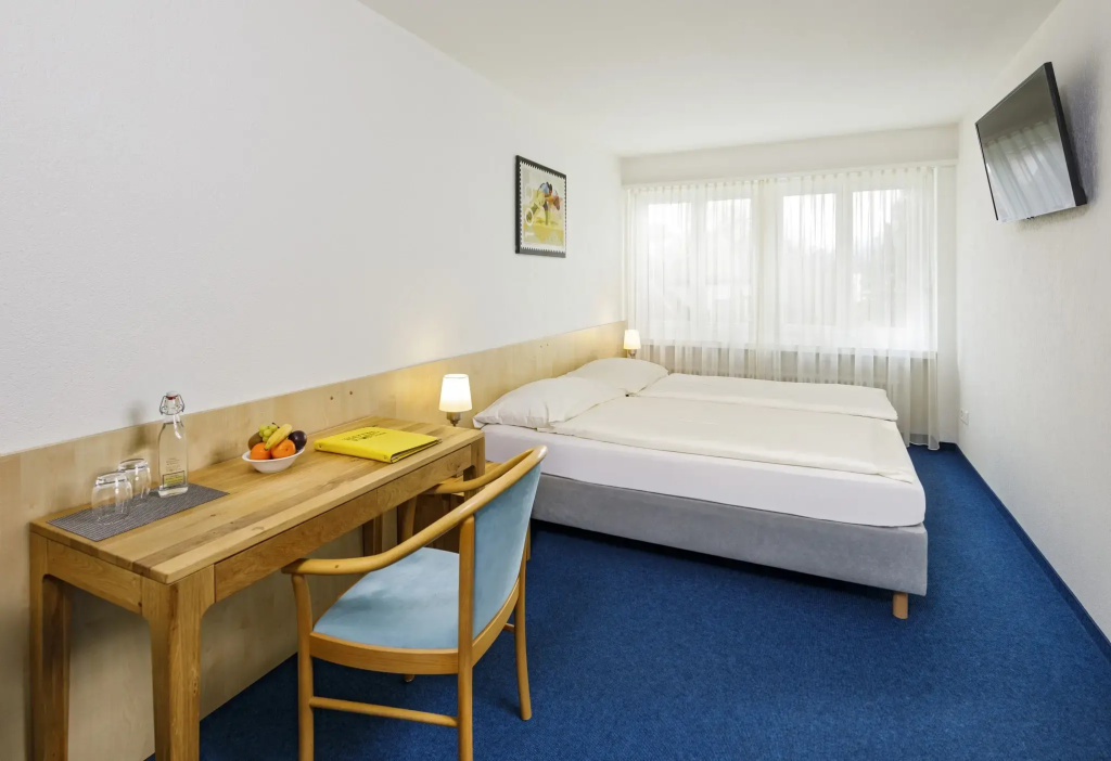 Comfort Single room