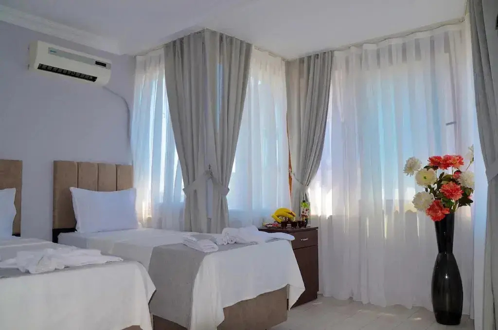 Standard Double room with city view (twin beds)