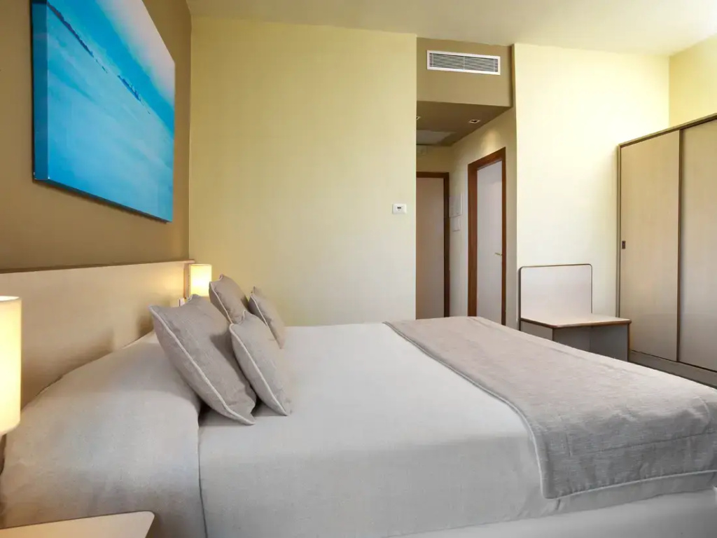 Deluxe Double room (twin beds)
