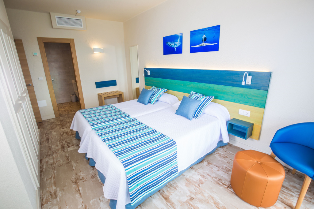 1 Bedroom Excellence Apartment