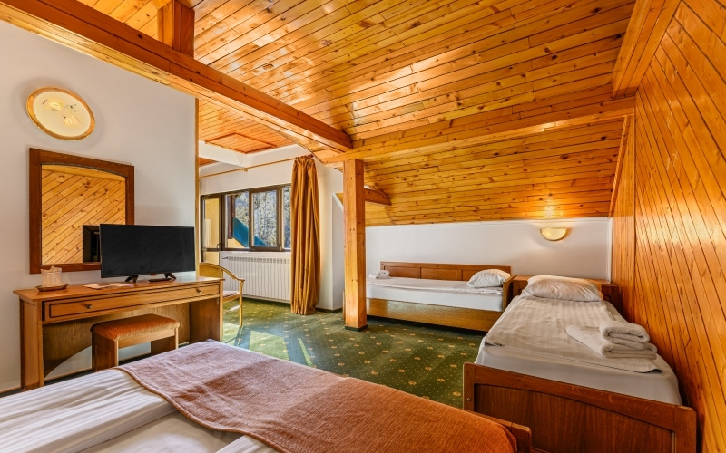 Hotel Casa Viorel - Chambres