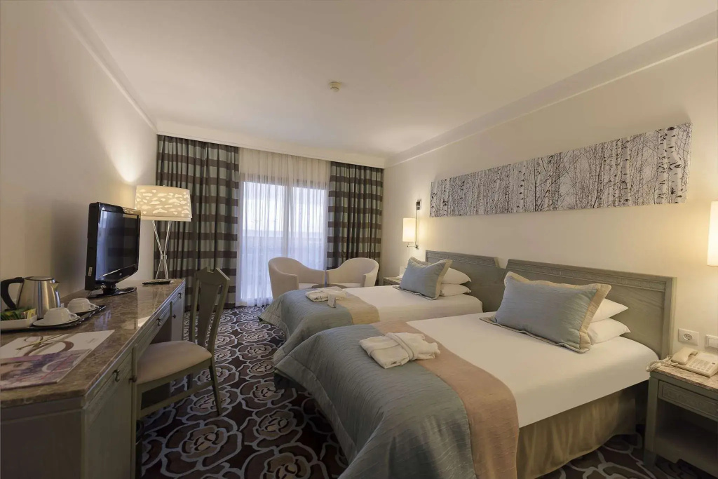 Standard Single room with garden view