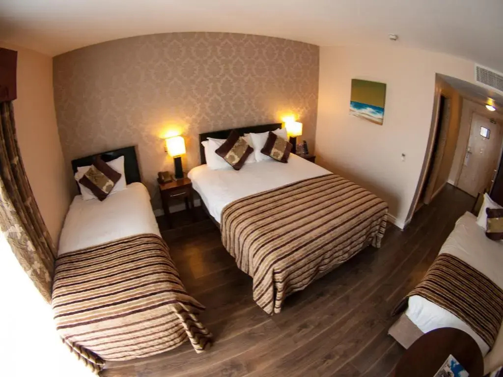 The George Limerick Hotel - Chambres