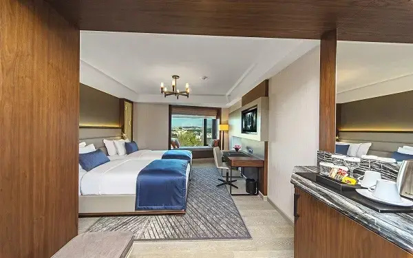 Deluxe Double room (twin beds)