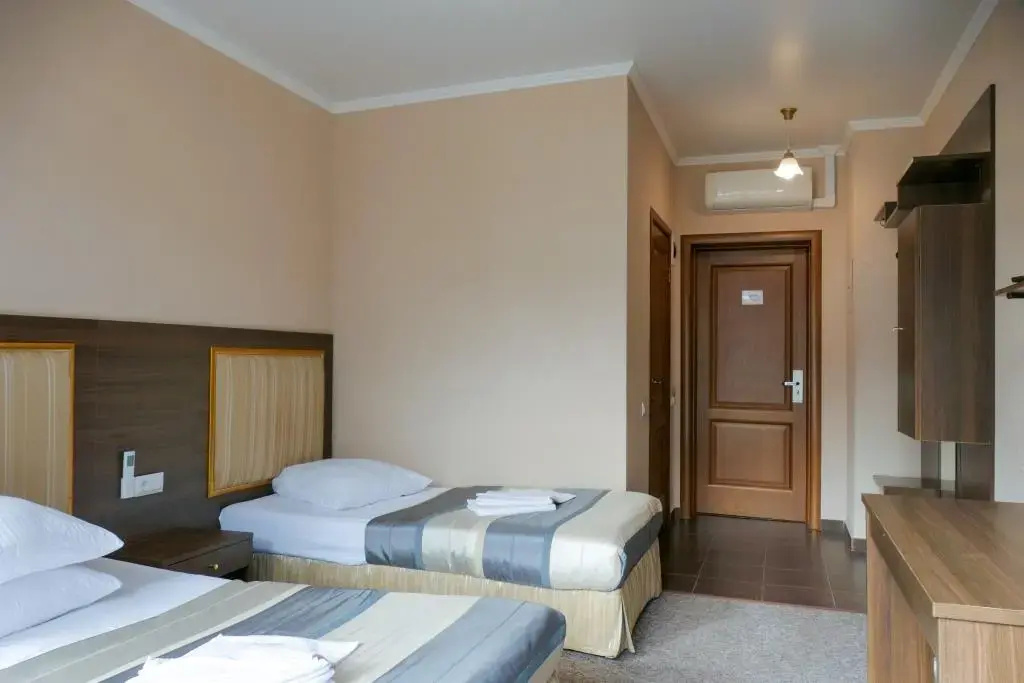 Standard (Building A) Double room with balcony and with mountain view (full double bed)