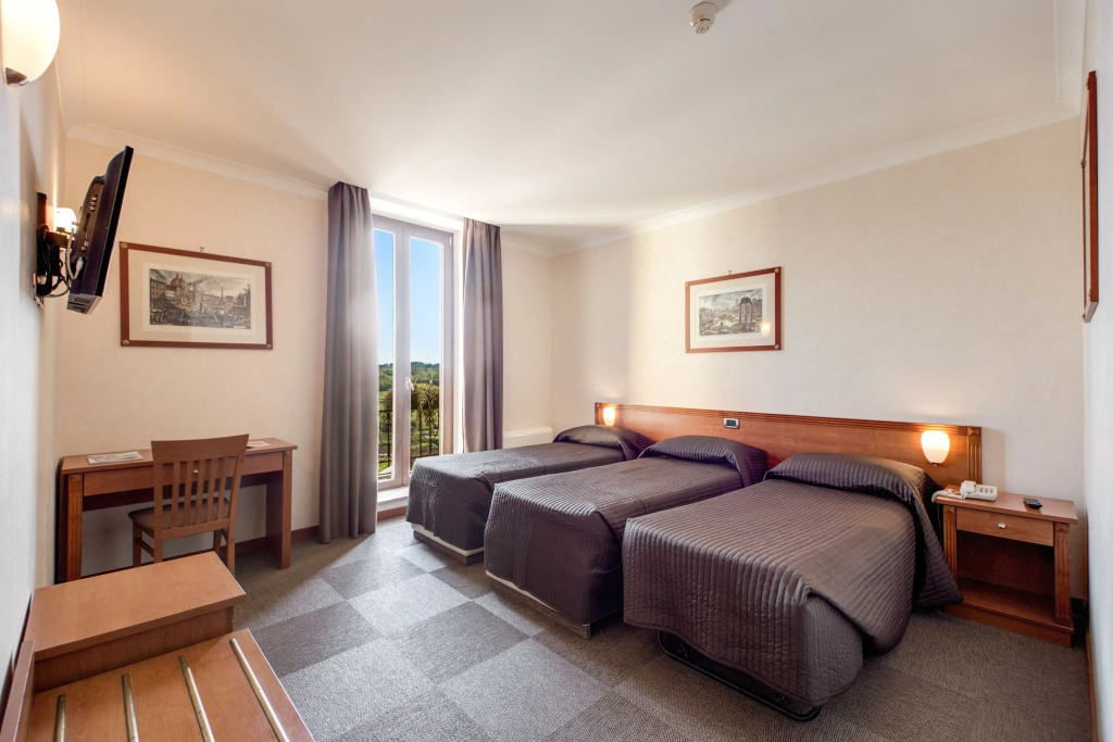 Standard Double room (twin beds)