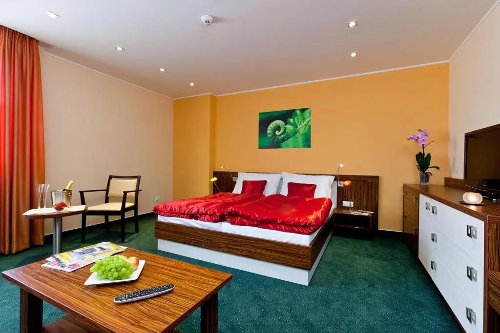 Standard Double room (full double bed)