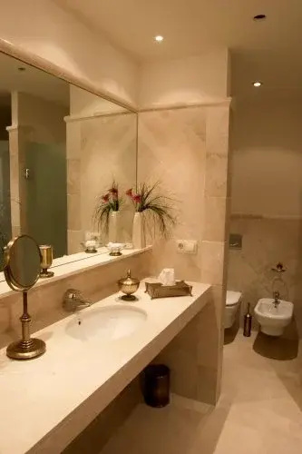 Double Junior Suite (twin beds)