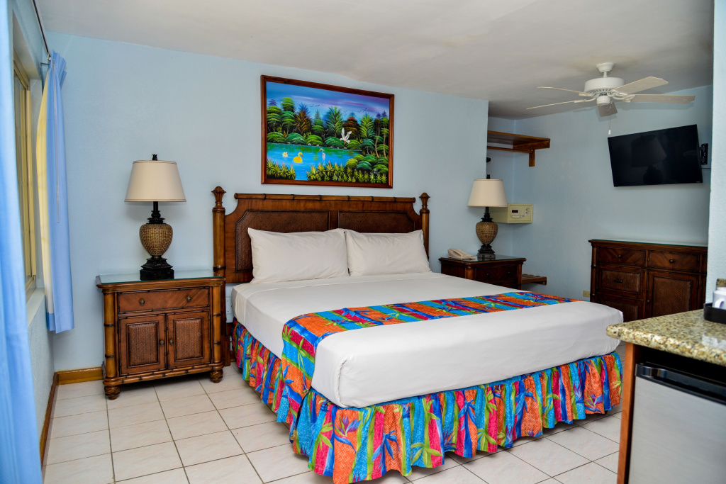 Superior Double room (full double bed)