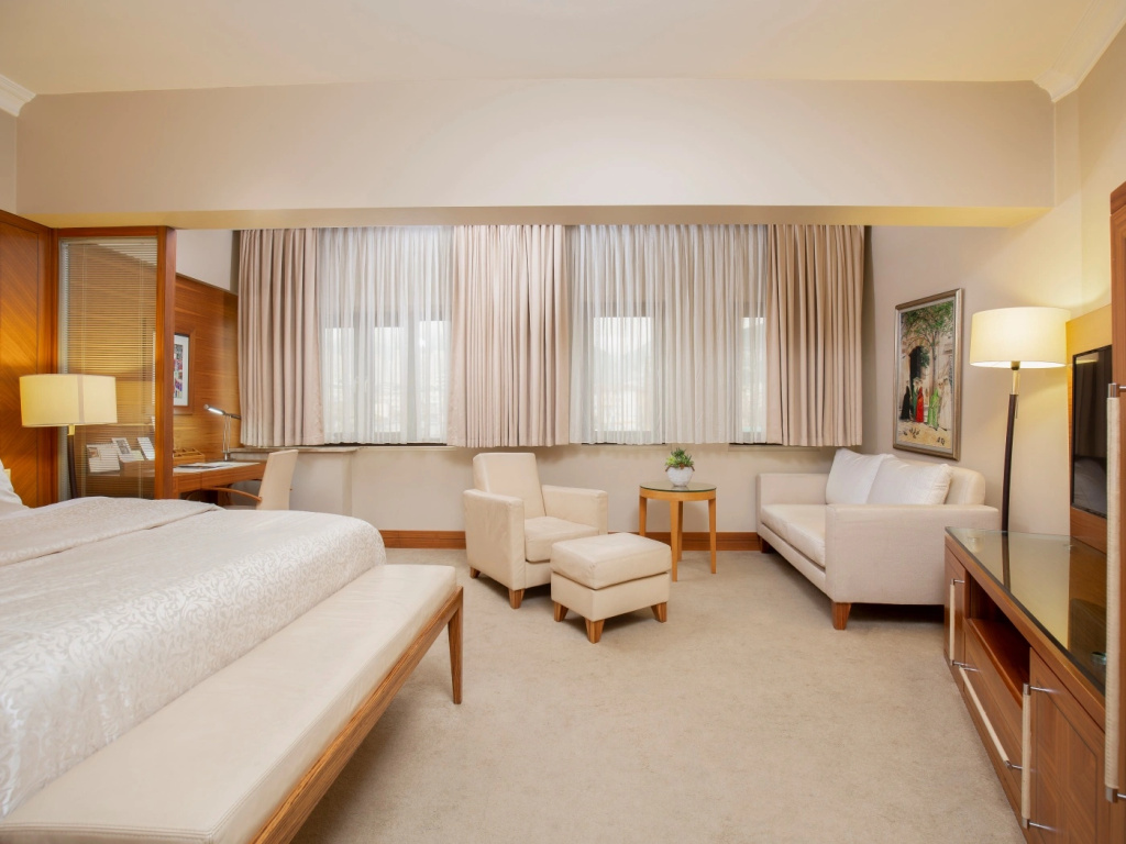 Superior Business Double room (full double bed)