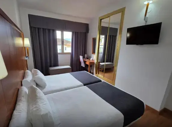 Standard Double room (twin beds)