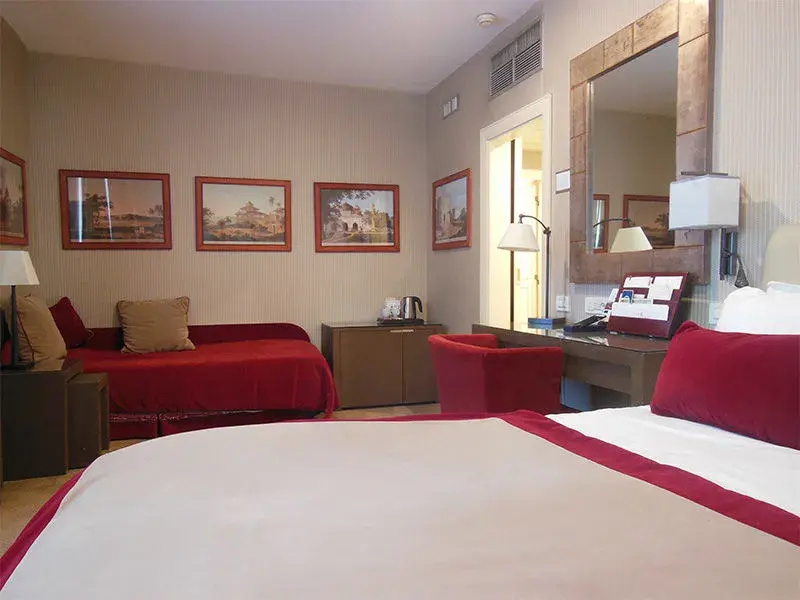Dei Borgognoni Hotel - Chambres