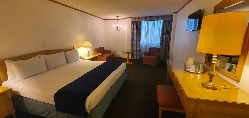 Double Penthouse (full double bed)