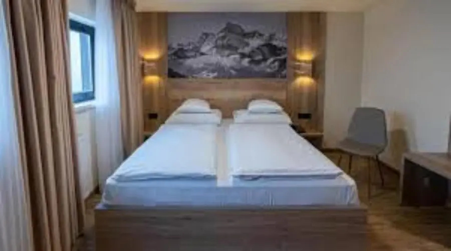 Standard Renovated Double room (full double bed)