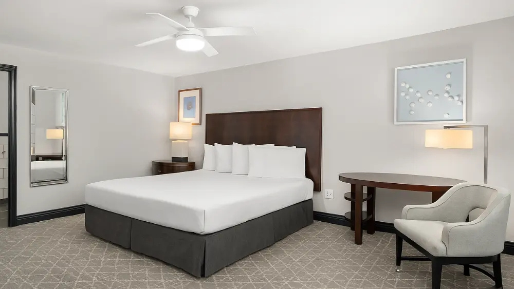 Deluxe ADA Double room (full double bed)