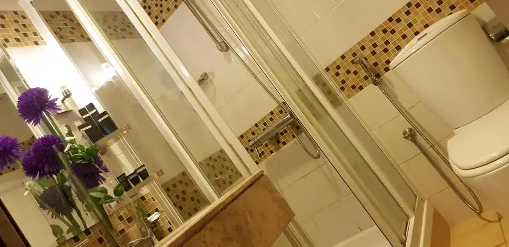 Двухместная Studio Apartment (двуспальная кровать) в Tulip Hotel Apartments