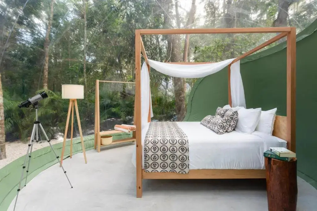 Double Bubble Suite with Jungle view (full double bed)