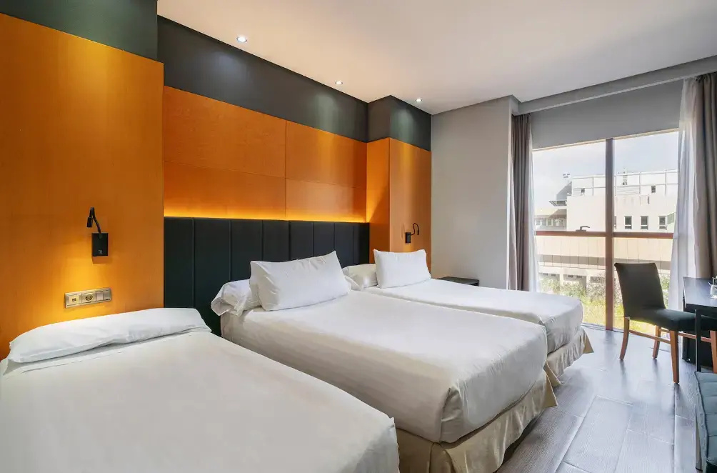Deluxe with Extra Bed Double room (full double bed)