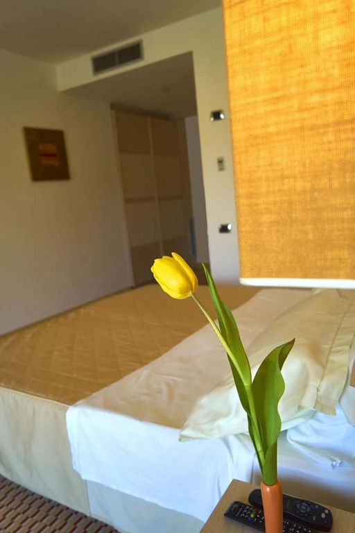 Superior Plus Double room (full double bed)