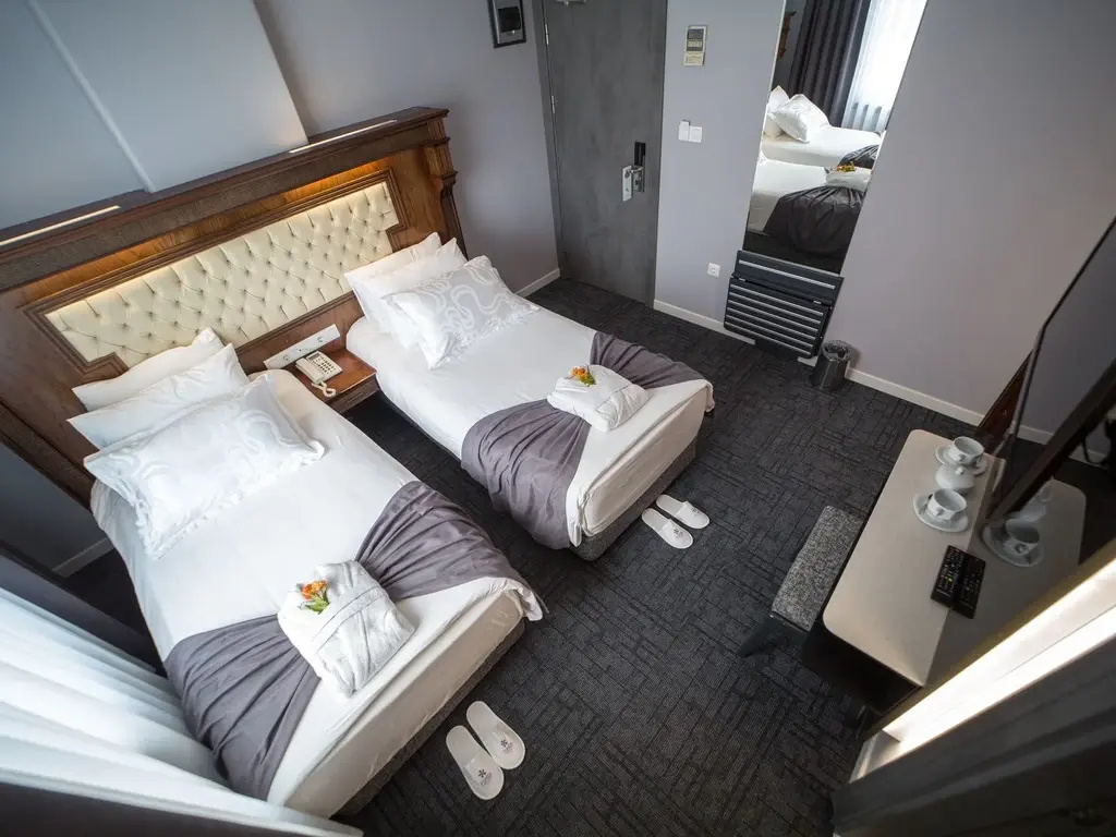 Deluxe Double room (twin beds)