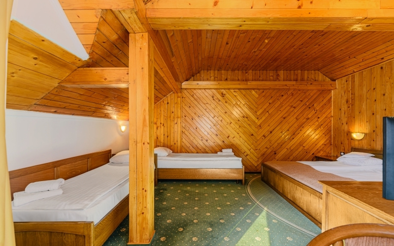 Hotel Casa Viorel - Chambres