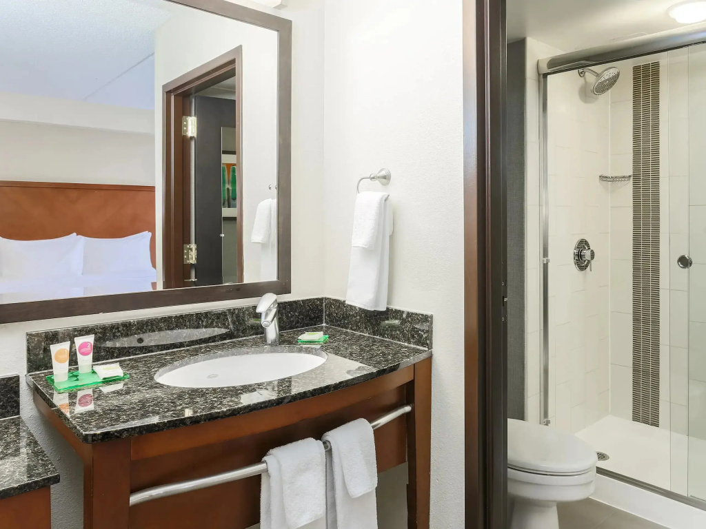 Hyatt Place Dallas/Grapevine - Chambres