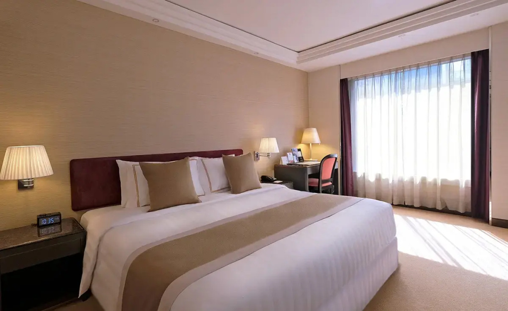 Executive Double Suite (full double bed)