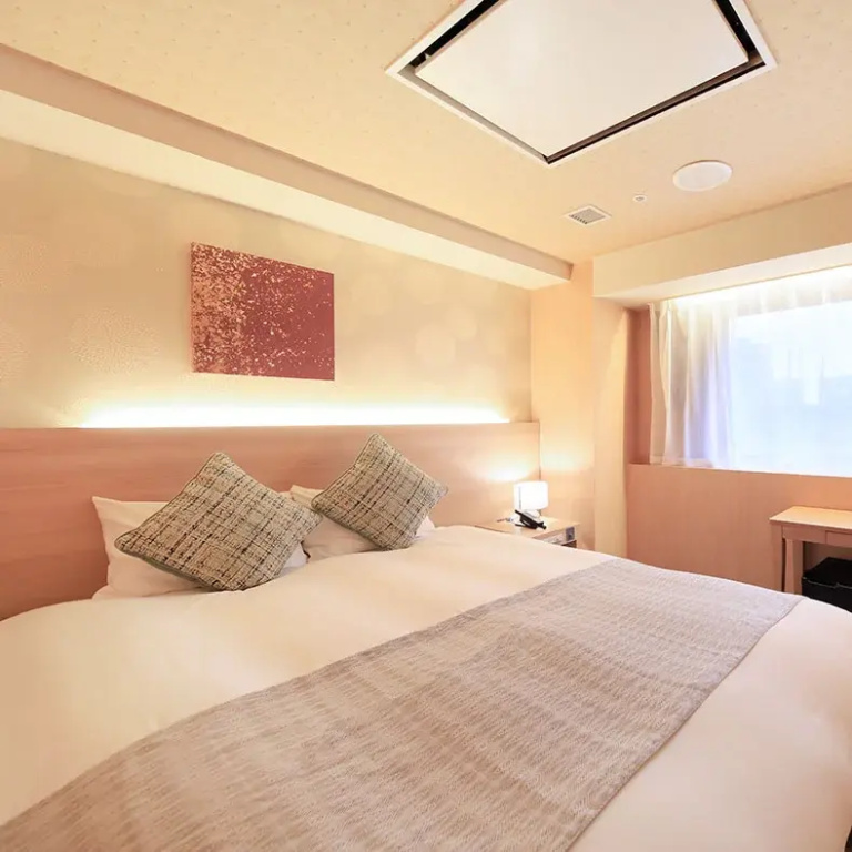 Standard Double room (full double bed)