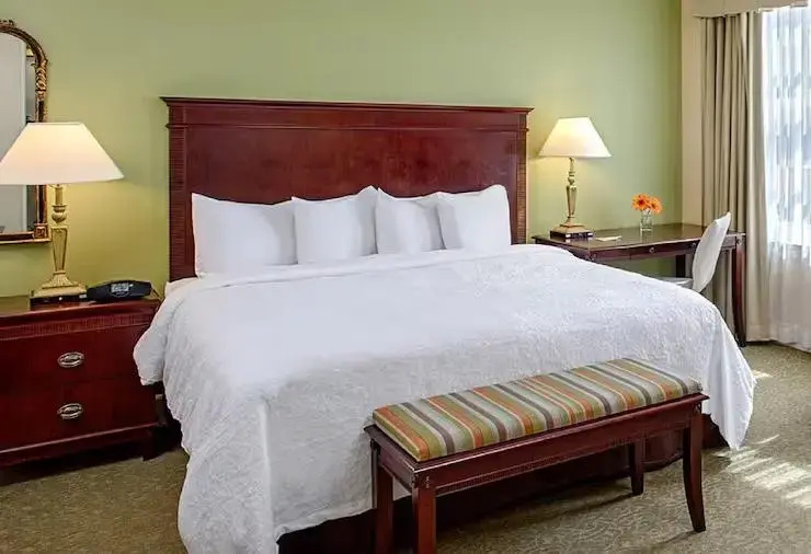 Hampton Inn & Suites Birmingham-Downtown-Tutwiler - Chambres