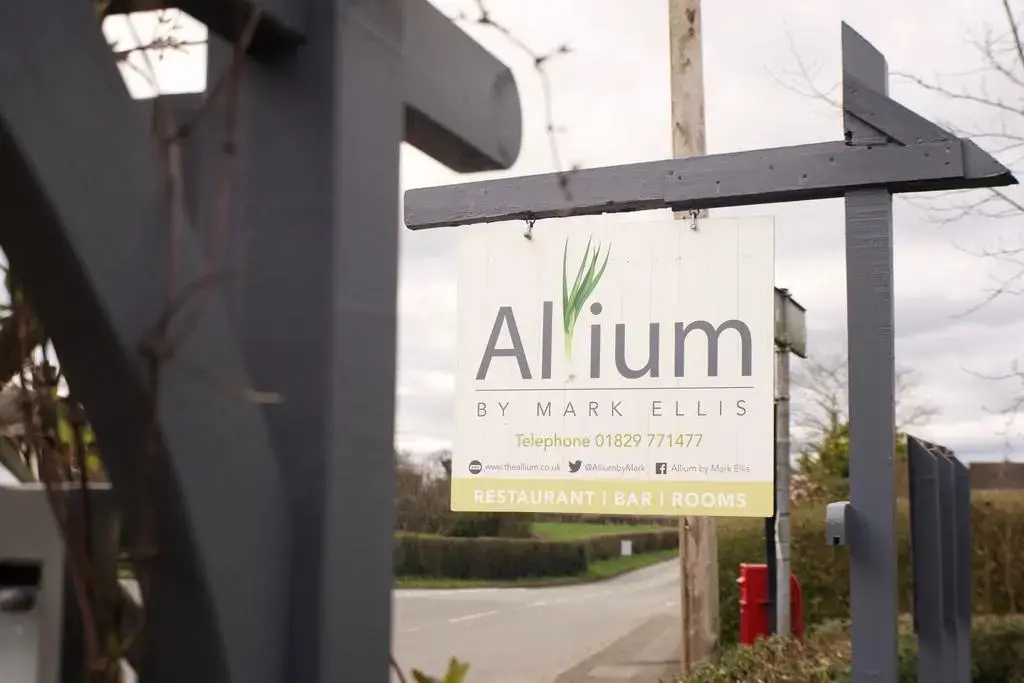 Allium by Mark Ellis