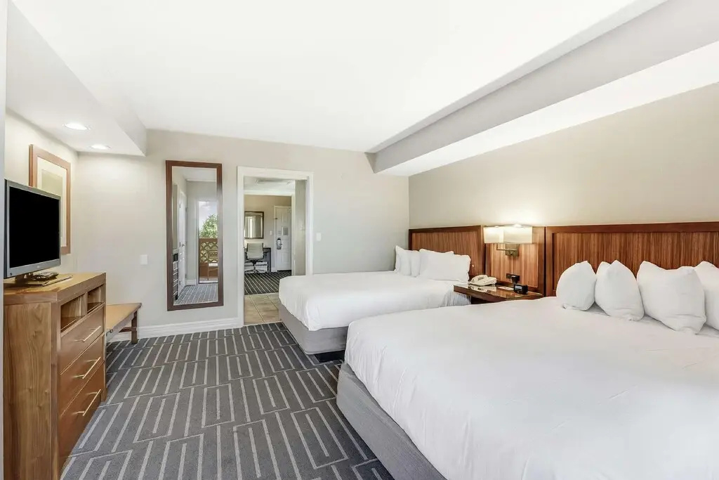 1 Bedroom Pure Wellness Quadruple Suite