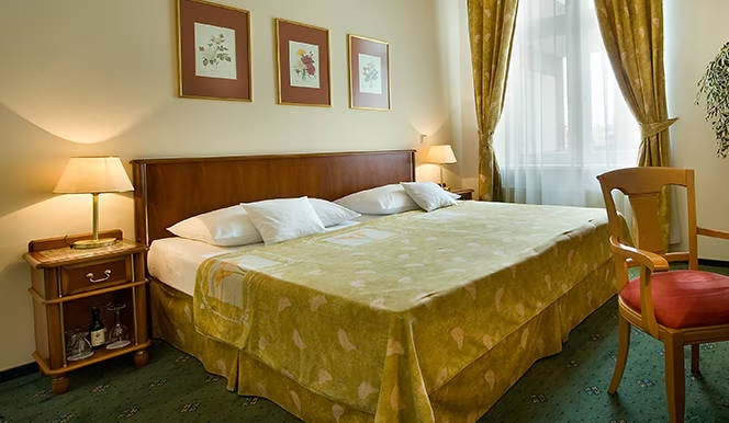 Standard Double room (full double bed)