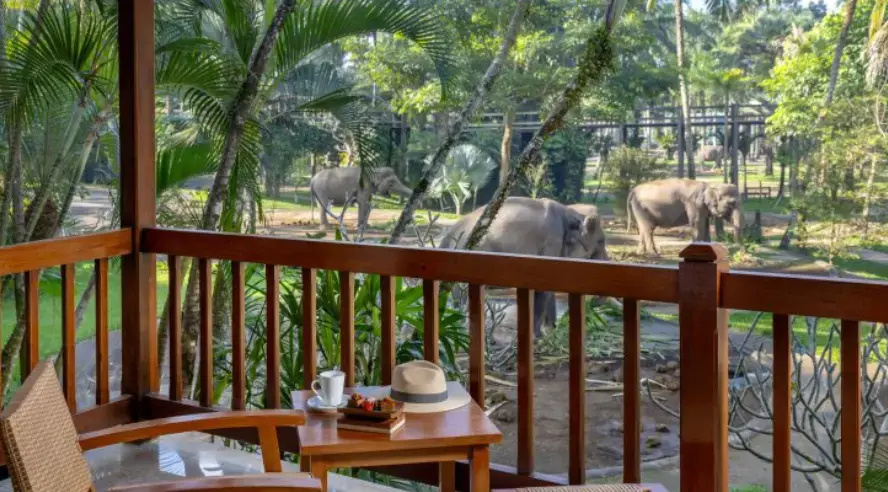 Mason Elephant Lodge - Chambres