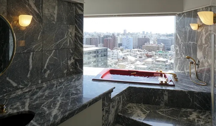 Hotel Gajoen Tokyo 사진 6
