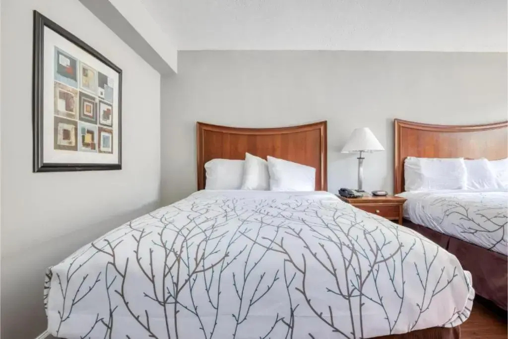 Double room (twin beds)