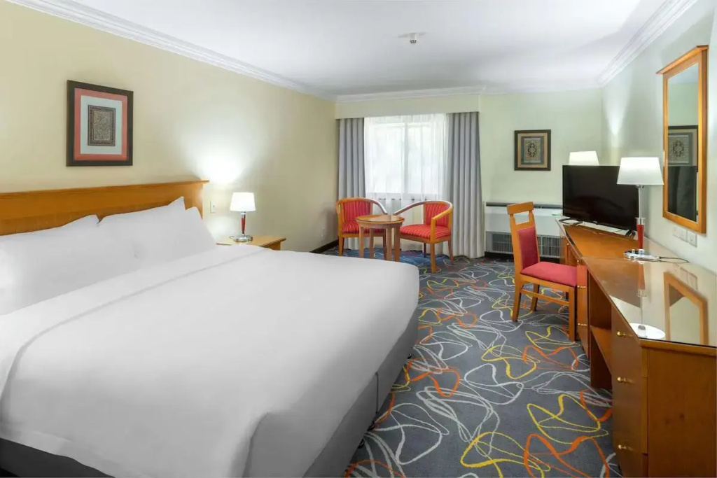 Radisson Blu Yanbu - Chambres