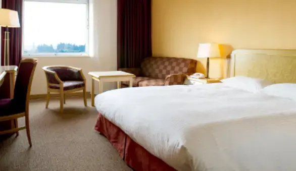 Hotel Nikko Narita - Chambres