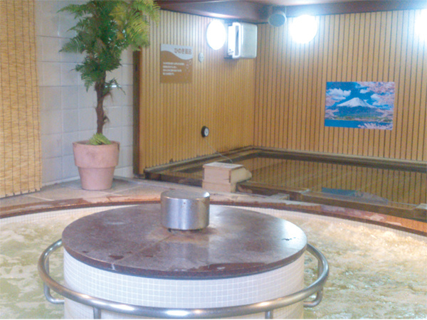 Sauna & Capsule Hotel Rainbow Shinkoiwa 사진 11