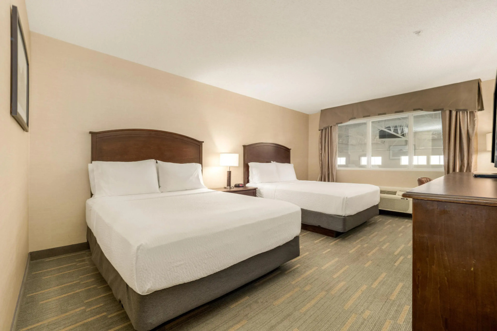 Standard Double room (twin beds)