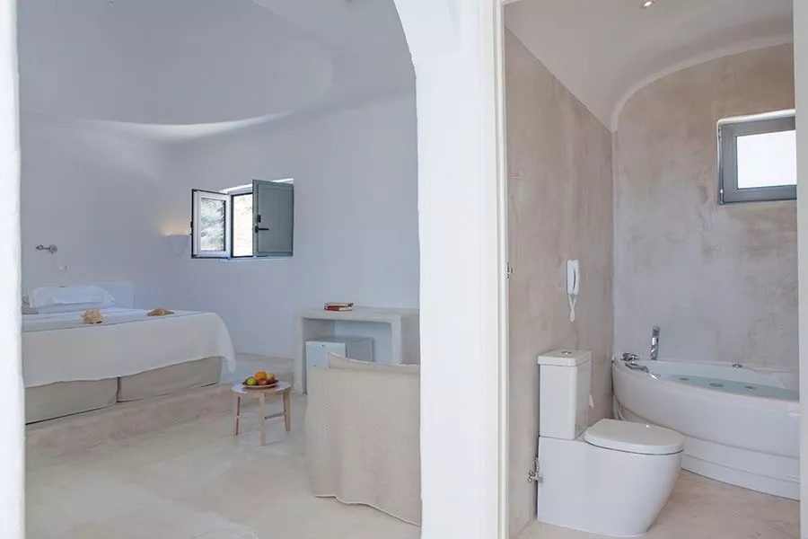 Premium Double room (twin beds)