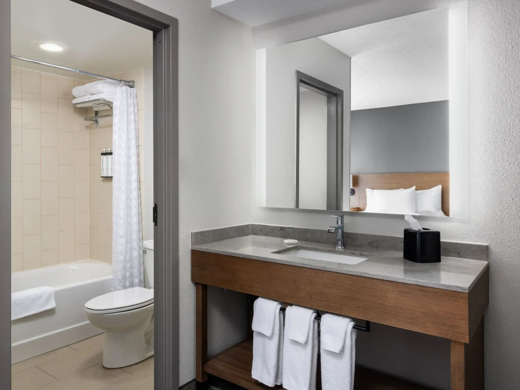 Hyatt Place Atlanta / Cobb Galleria - Chambres