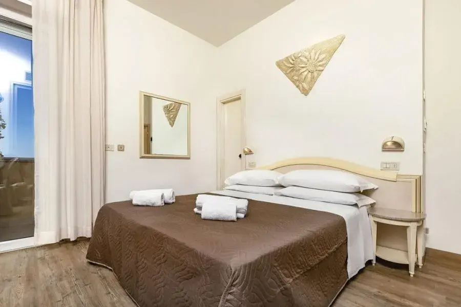 Standard Double room with street view (twin beds)
